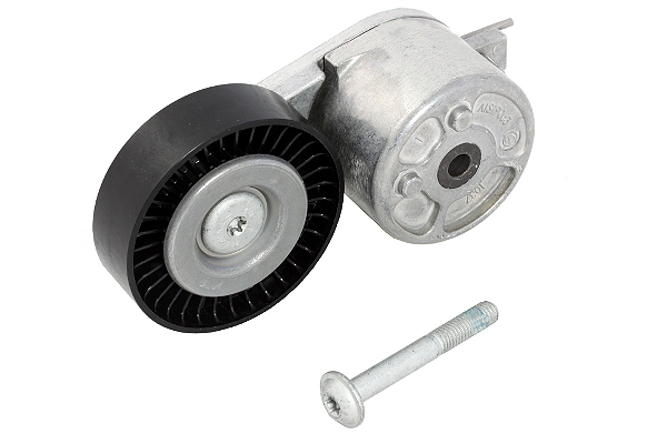 SCHAEFFLER INA Remstrammer, kilerem 534041210 for FORD