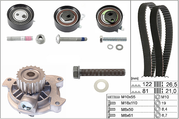 SCHAEFFLER INA Vandpumpe + tandremssæt 530048430 for VW