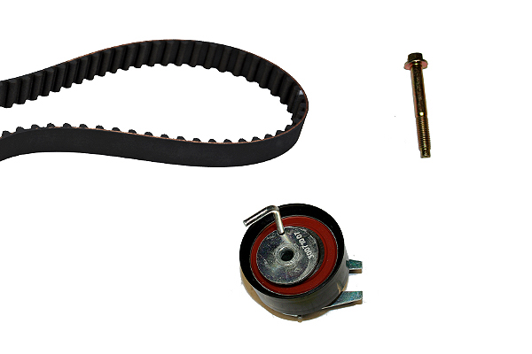 SCHAEFFLER INA Tandremssæt 530047610 for PEUGEOT JAGUAR LAND ROVER