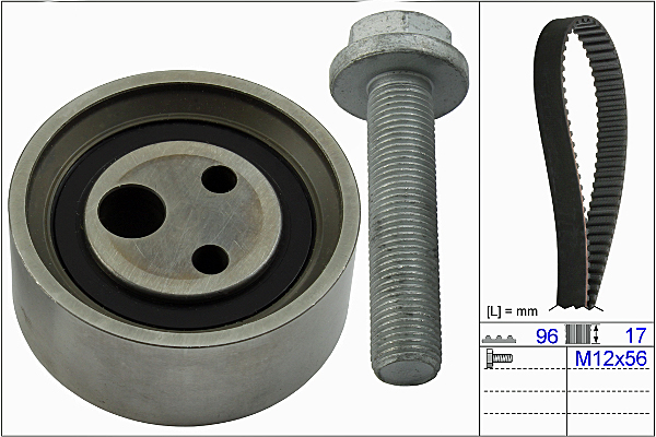 SCHAEFFLER INA Tandremssæt 530049010 for DACIA NISSAN