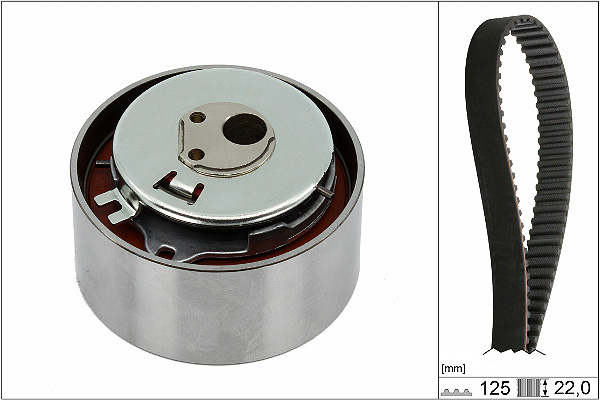 SCHAEFFLER INA Tandremssæt 530056410 for FIAT