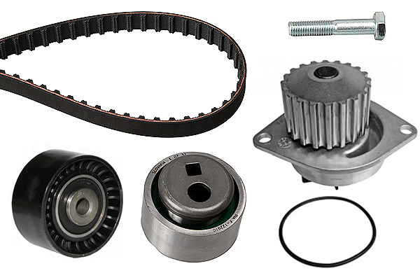 SCHAEFFLER INA Vandpumpe + tandremssæt 530011930 for PEUGEOT NISSAN