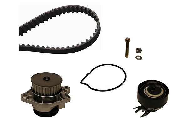 SCHAEFFLER INA Vandpumpe + tandremssæt 530016631 for VW