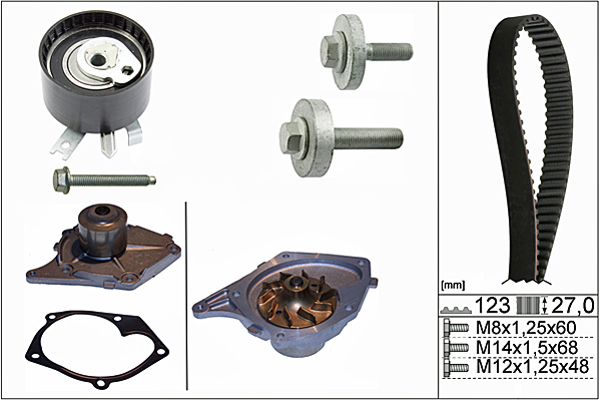SCHAEFFLER INA Vandpumpe + tandremssæt 530019730 for NISSAN SUZUKI DACIA