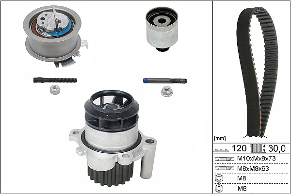 SCHAEFFLER INA Vandpumpe + tandremssæt 530020130 for SEAT VW VW (FAW)