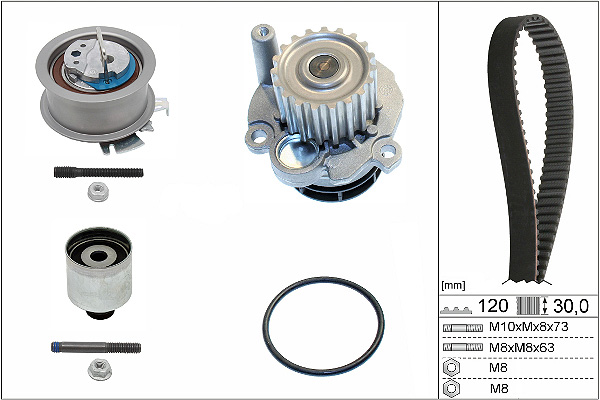SCHAEFFLER INA Vandpumpe + tandremssæt 530020132 for FORD VW SKODA