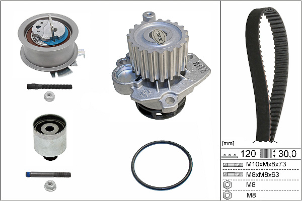 SCHAEFFLER INA Vandpumpe + tandremssæt 530020133 for FORD VW VW (FAW)