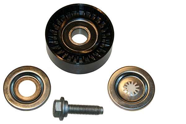 SCHAEFFLER INA Medløberhjul, multi-V-rem 532056010 for PEUGEOT FIAT MITSUBISHI CHRYSLER JEEP