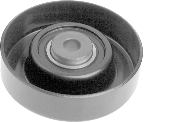 SCHAEFFLER INA Medløberhjul, multi-V-rem 532058510 for SUZUKI