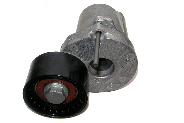 SCHAEFFLER INA Remstrammer, kilerem 534040210 for MINI