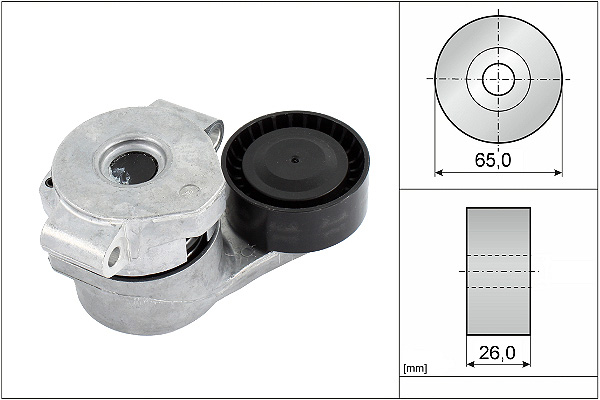 SCHAEFFLER INA Remstrammer, kilerem 534030810 for FORD FIAT PEUGEOT