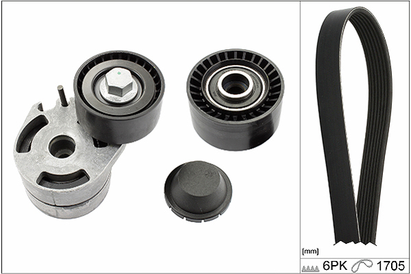 SCHAEFFLER INA Kileremssæt 529001210 for PEUGEOT FORD MAZDA