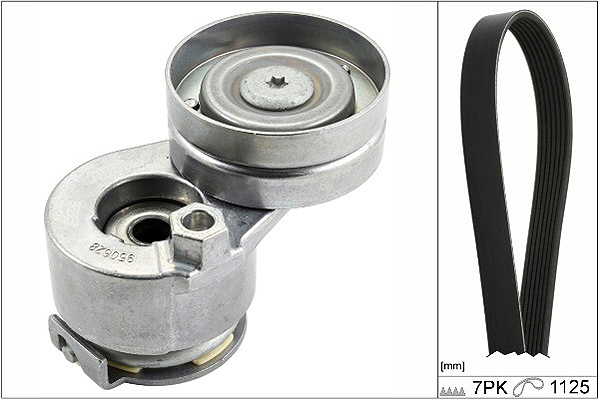 SCHAEFFLER INA Kileremssæt 529008810 for DACIA