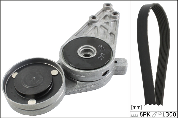 SCHAEFFLER INA Kileremssæt 529009610 for VW AUDI