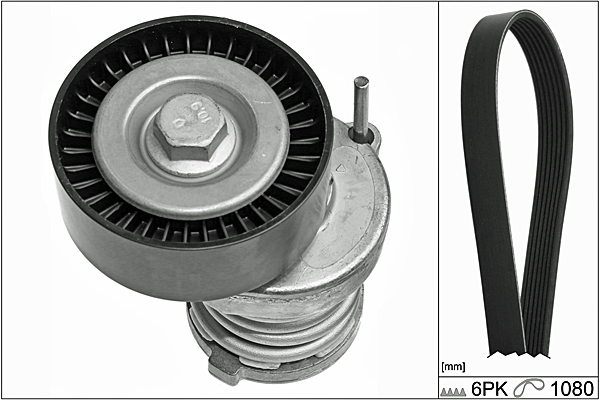 SCHAEFFLER INA Kileremssæt 529010310 for VW