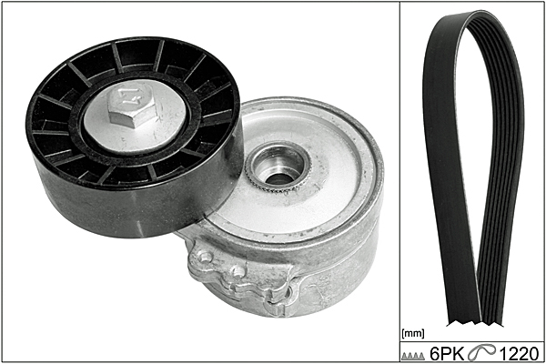 SCHAEFFLER INA Kileremssæt 529010510 for FORD VOLVO PEUGEOT FIAT