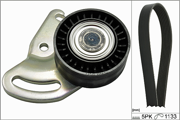 SCHAEFFLER INA Kileremssæt 529017810 for NISSAN RENAULT DACIA