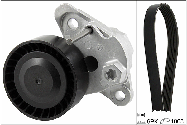 SCHAEFFLER INA Kileremssæt 529020810 for VW