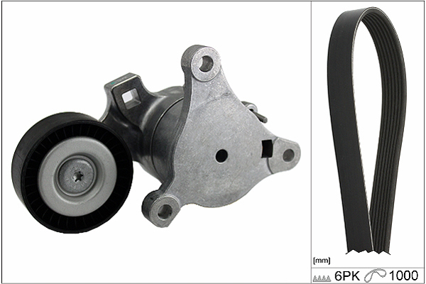 SCHAEFFLER INA Kileremssæt 529021410 for PEUGEOT PEUGEOT (DF-PSA)
