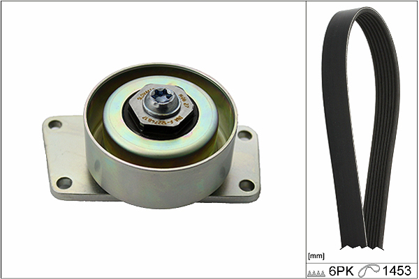 SCHAEFFLER INA Kileremssæt 529021610 for PEUGEOT CITROËN