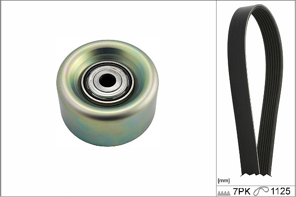 SCHAEFFLER INA Kileremssæt 529023110 for NISSAN