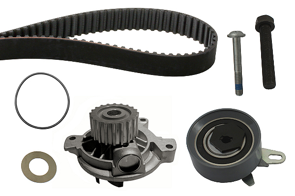 SCHAEFFLER INA Vandpumpe + tandremssæt 530017230 for VW