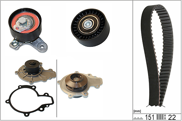 SCHAEFFLER INA Vandpumpe + tandremssæt 530057230 for VAUXHALL OPEL