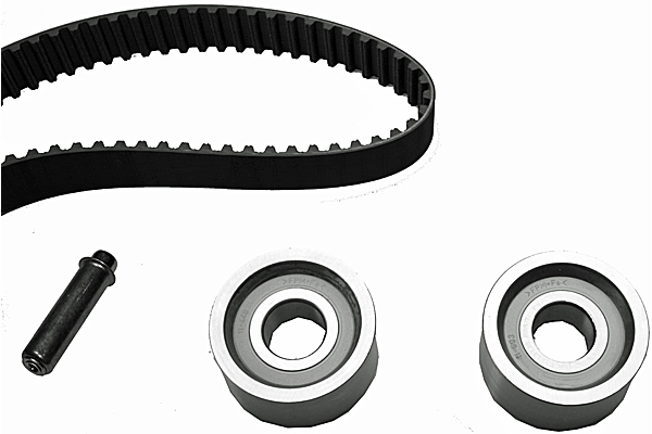 SCHAEFFLER INA Tandremssæt 530060210 for IVECO DACIA PEUGEOT