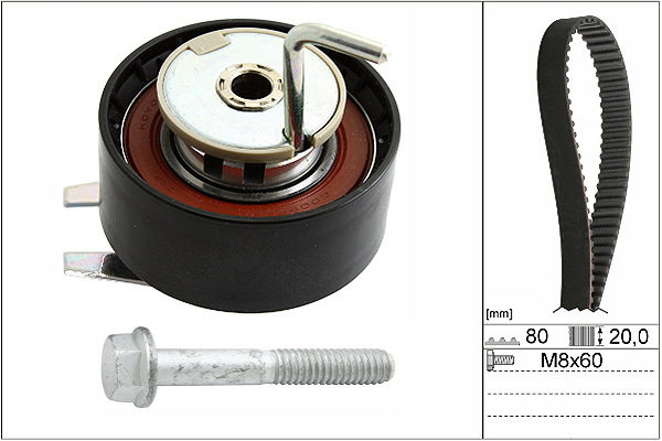 SCHAEFFLER INA Tandremssæt 530069210 for PEUGEOT JAGUAR LAND ROVER