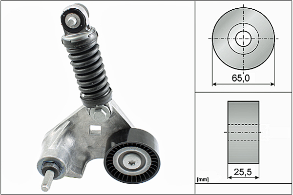 SCHAEFFLER INA Remstrammer, kilerem 534016910 for FORD JAGUAR