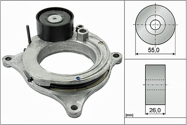 SCHAEFFLER INA Remstrammer, kilerem 534059810 for MINI BMW (BRILLIANCE)