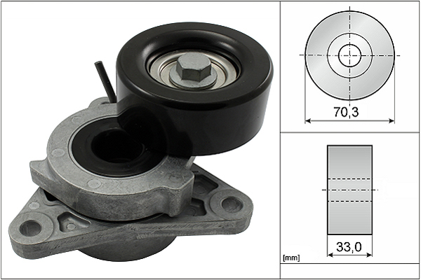 SCHAEFFLER INA Remstrammer, kilerem 534060610 for NISSAN
