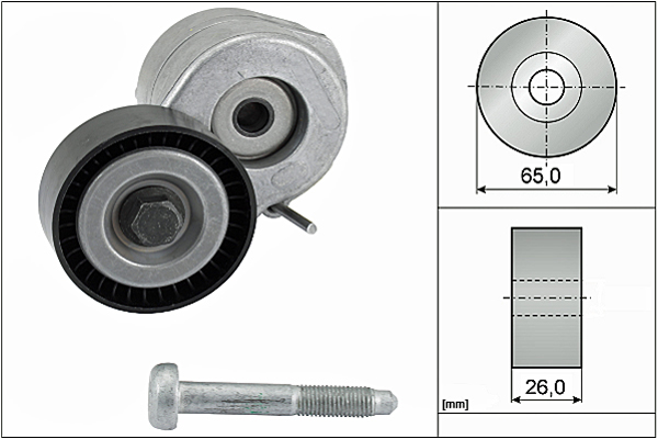 SCHAEFFLER INA Remstrammer, kilerem 534060710 for FORD FIAT