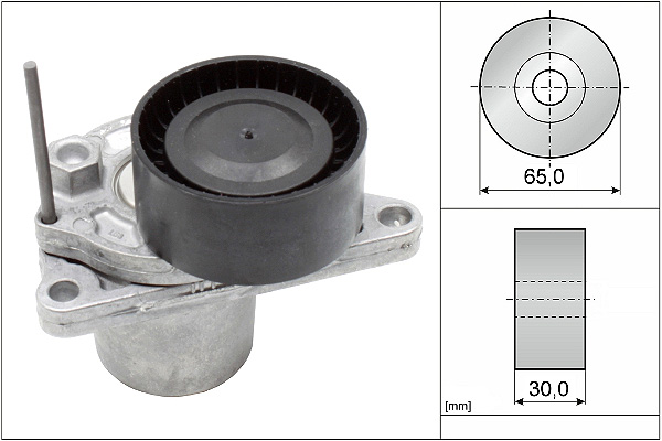 SCHAEFFLER INA Remstrammer, kilerem 534062410 for RENAULT NISSAN