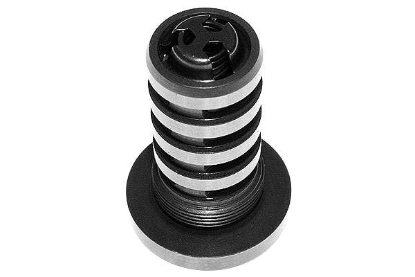 SCHAEFFLER INA Centralventil, knastakselforstilling 427000510 for VW (SVW)