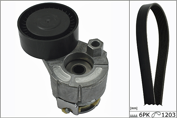 SCHAEFFLER INA Kileremssæt 529000910 for NISSAN DACIA
