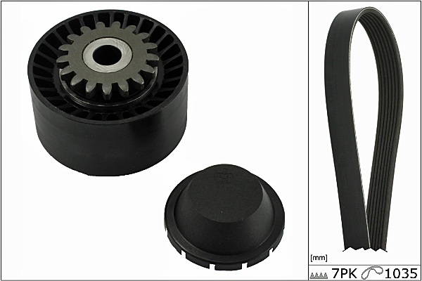 SCHAEFFLER INA Kileremssæt 529001610 for RENAULT DACIA