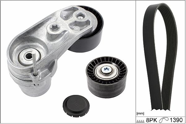 SCHAEFFLER INA Kileremssæt 529021010 for MINI BMW