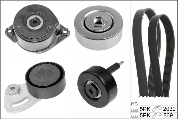 SCHAEFFLER INA Kileremssæt 529025310 for MG LAND ROVER ROVER