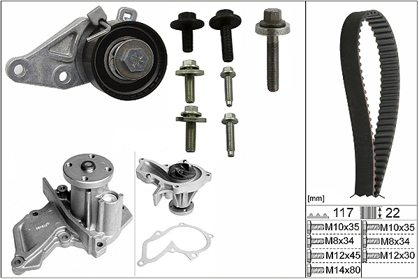 SCHAEFFLER INA Vandpumpe + tandremssæt 530014030 for VOLVO FORD MAZDA