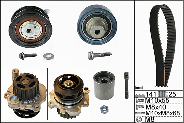 SCHAEFFLER INA Vandpumpe + tandremssæt 530036131 for VW