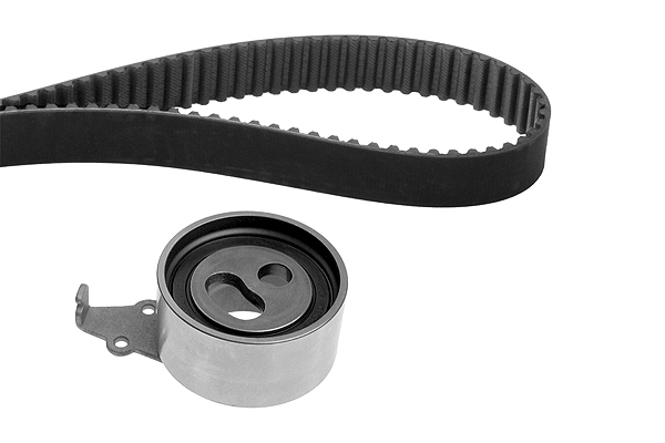 SCHAEFFLER INA Tandremssæt 530059010 for KIA HYUNDAI