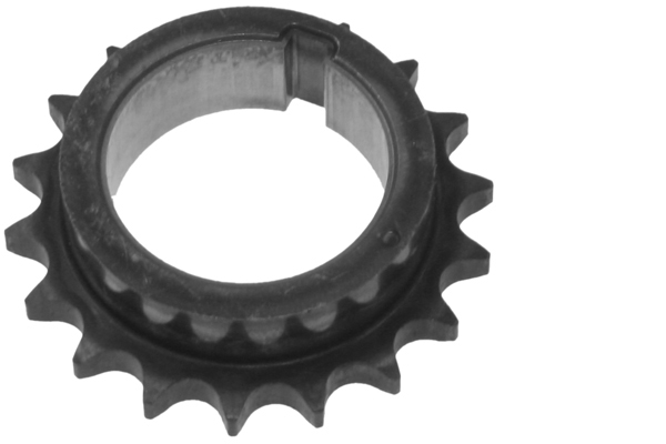 SCHAEFFLER INA Tandhjul, krumtapaksel 554007510 for TOYOTA (FAW)