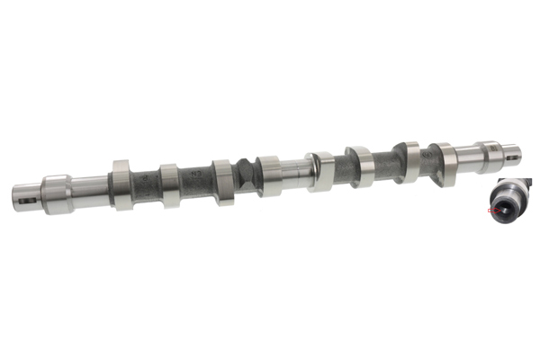 SCHAEFFLER INA Knastaksel 428 0086 10 for PEUGEOT CITROËN