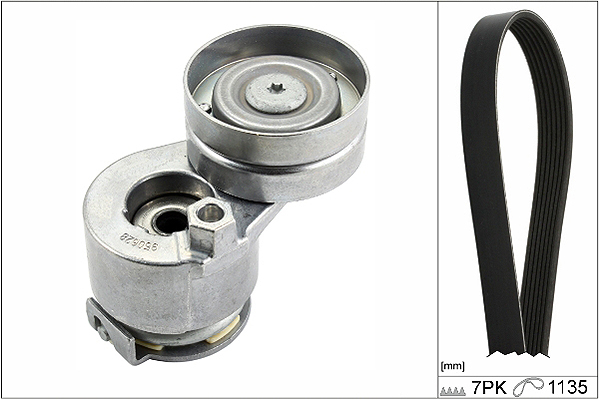 SCHAEFFLER INA Kileremssæt 529028310 for RENAULT