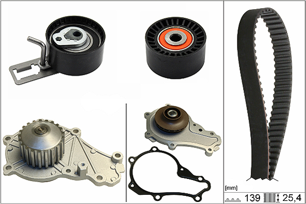 SCHAEFFLER INA Vandpumpe + tandremssæt 530057730 for FORD PEUGEOT DS