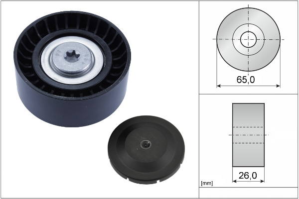 SCHAEFFLER INA Medløberhjul, multi-V-rem 532080410 for BMW (BRILLIANCE) BMW