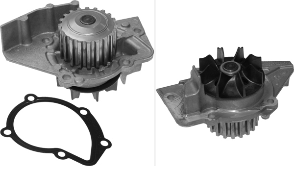SCHAEFFLER INA Vandpumpe 538000810 for CITROËN PEUGEOT LANCIA SUZUKI LEXUS