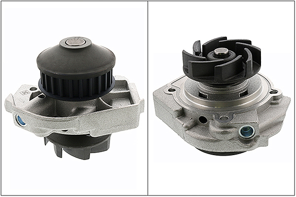 SCHAEFFLER INA Vandpumpe 538001810 for FIAT