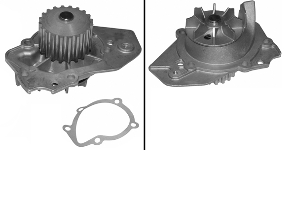 SCHAEFFLER INA Vandpumpe 538001910 for PEUGEOT ROVER